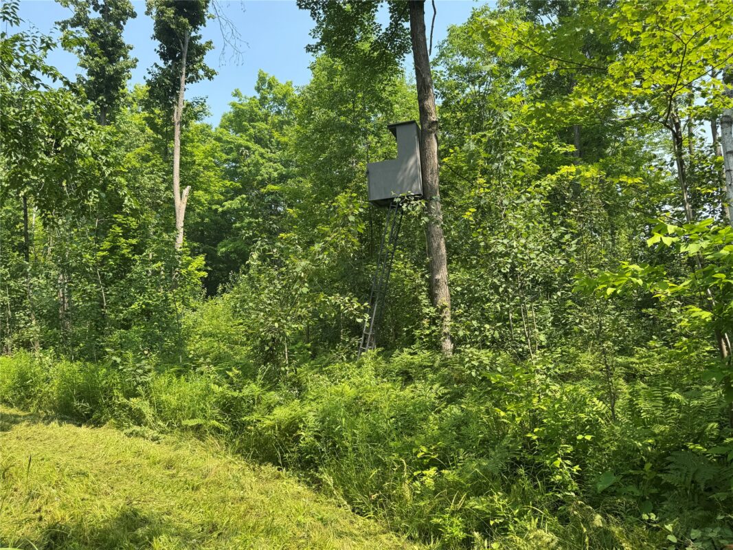 , Summit Lake WI 54485 - Land house for sale - MLS #1603386 - image4