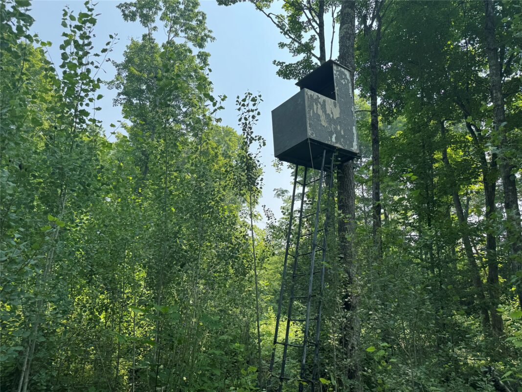 , Summit Lake WI 54485 - Land house for sale - MLS #1603386 - image5