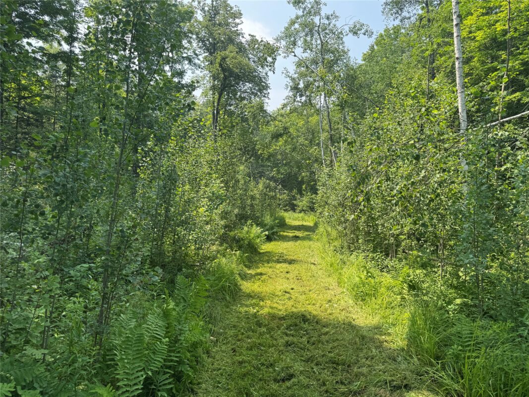 , Summit Lake WI 54485 - Land house for sale - MLS #1603386 - image6