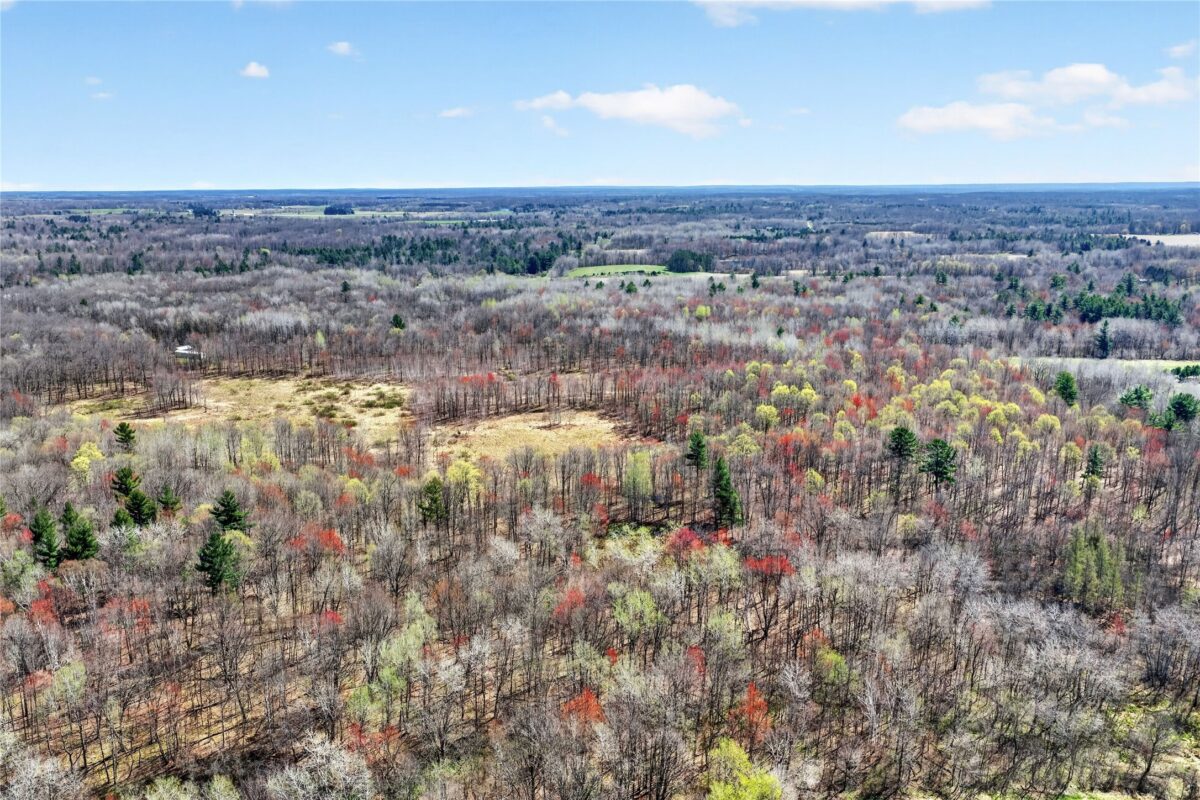 TBD 9th Street, Barronett WI 54813 - Land house for sale - MLS #1598927 - image16