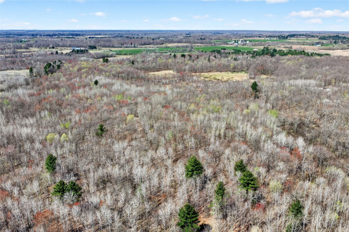 TBD 9th Street, Barronett WI 54813 - Land house for sale - MLS #1598927 - image19