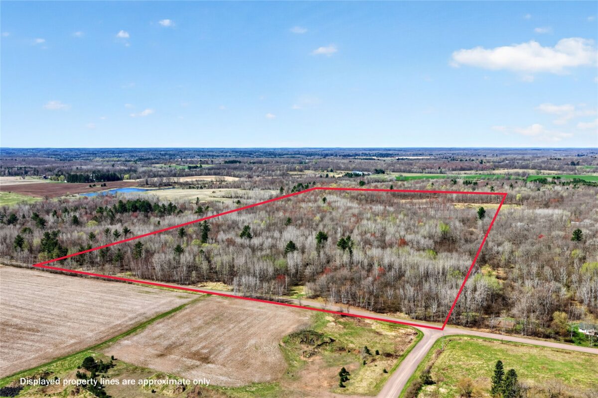 TBD 9th Street, Barronett WI 54813 - Land house for sale - MLS #1598927 - image3