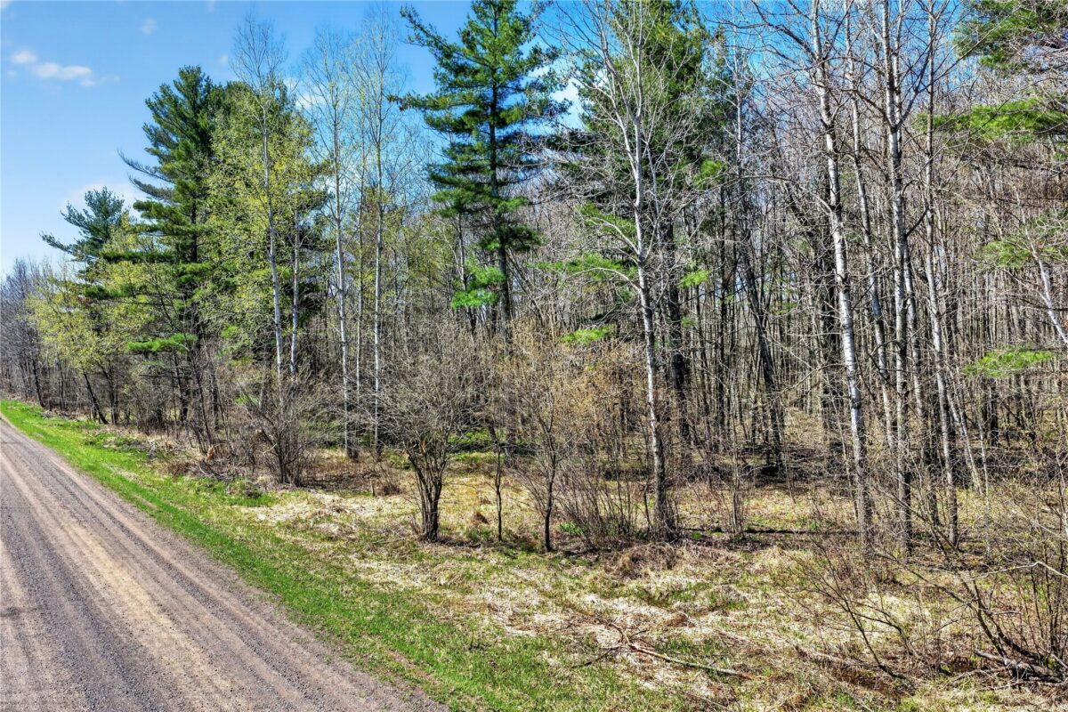 TBD 9th Street, Barronett WI 54813 - Land house for sale - MLS #1598927 - image6