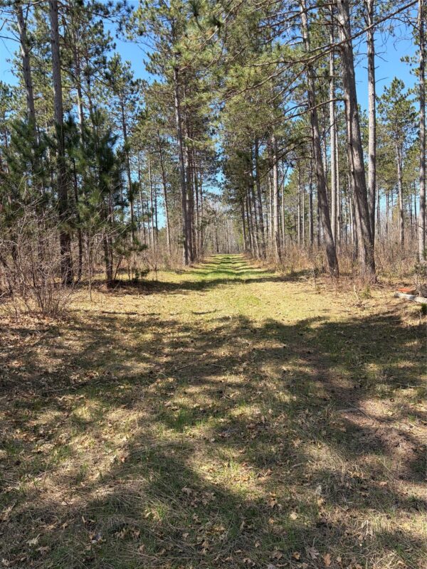 TBD AA Mann Road, Spooner WI 54801 - Land house for sale - MLS #1602850 - image3