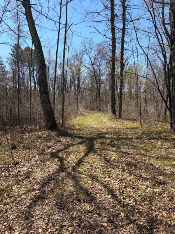 TBD AA Mann Road, Spooner WI 54801 - Land house for sale - MLS #1602850 - image5