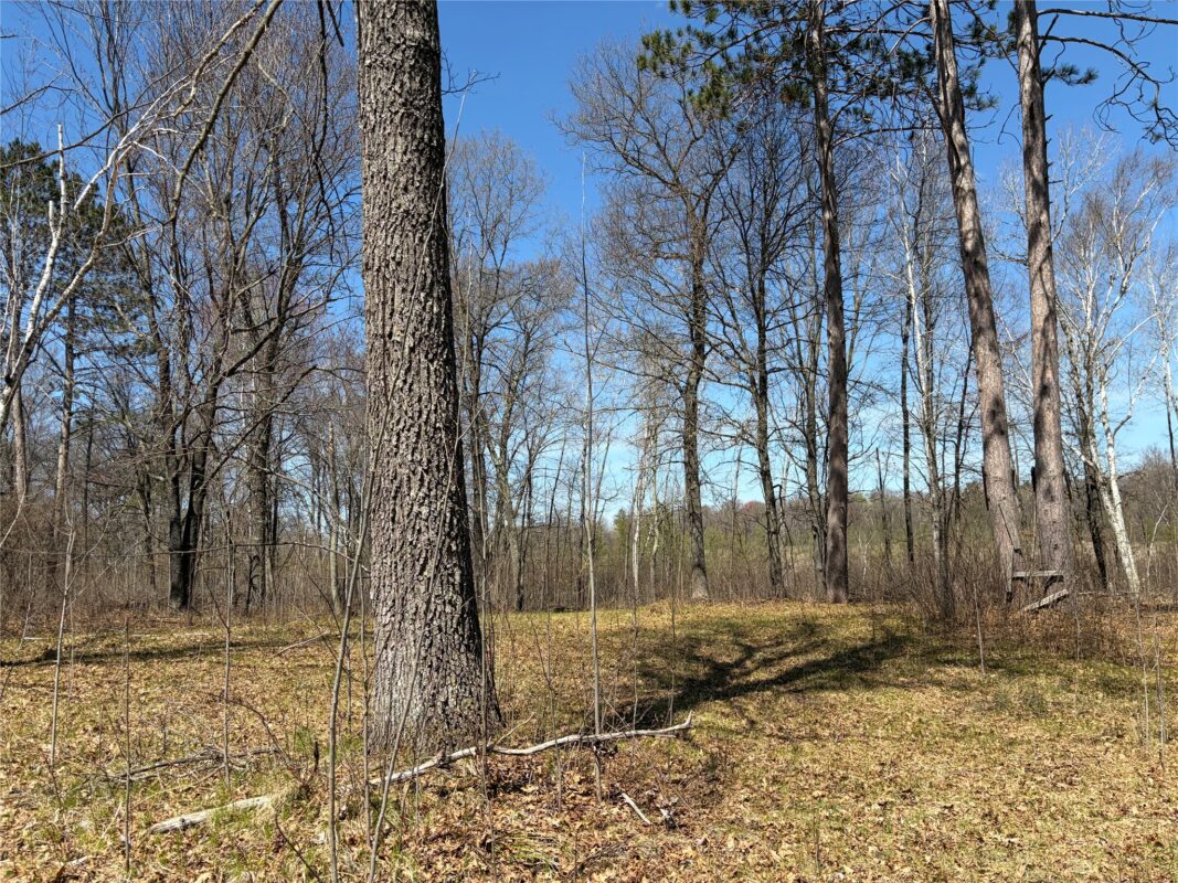 TBD AA Mann Road, Spooner WI 54801 - Land house for sale - MLS #1602850 - image6