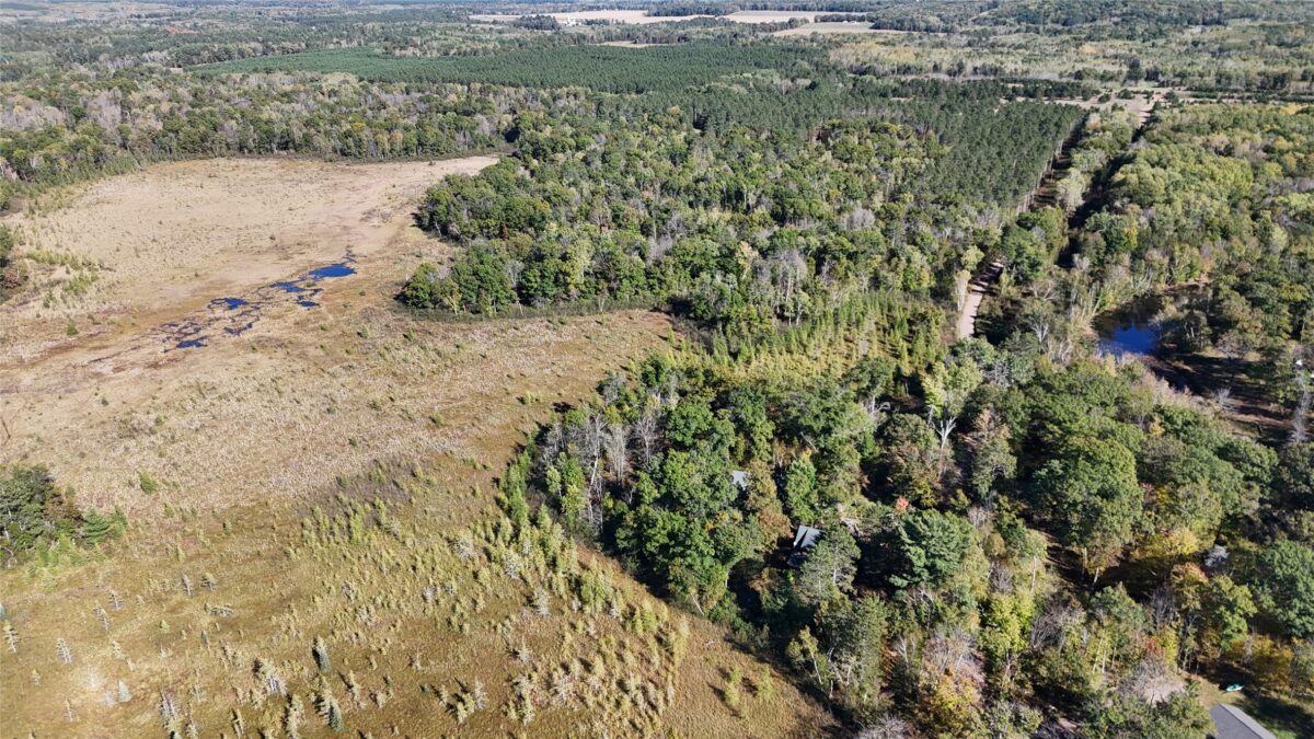 TBD BB Mann Road, Spooner WI 54801 - Land house for sale - MLS #1602853 - image3