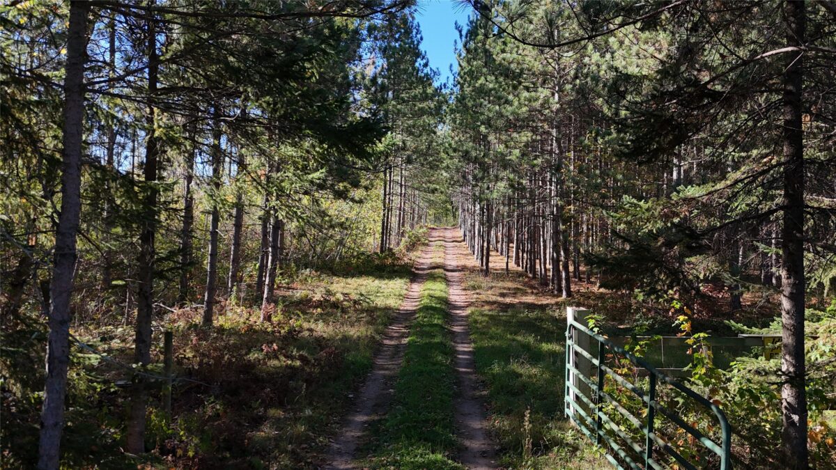 TBD BB Mann Road, Spooner WI 54801 - Land house for sale - MLS #1602853 - image4