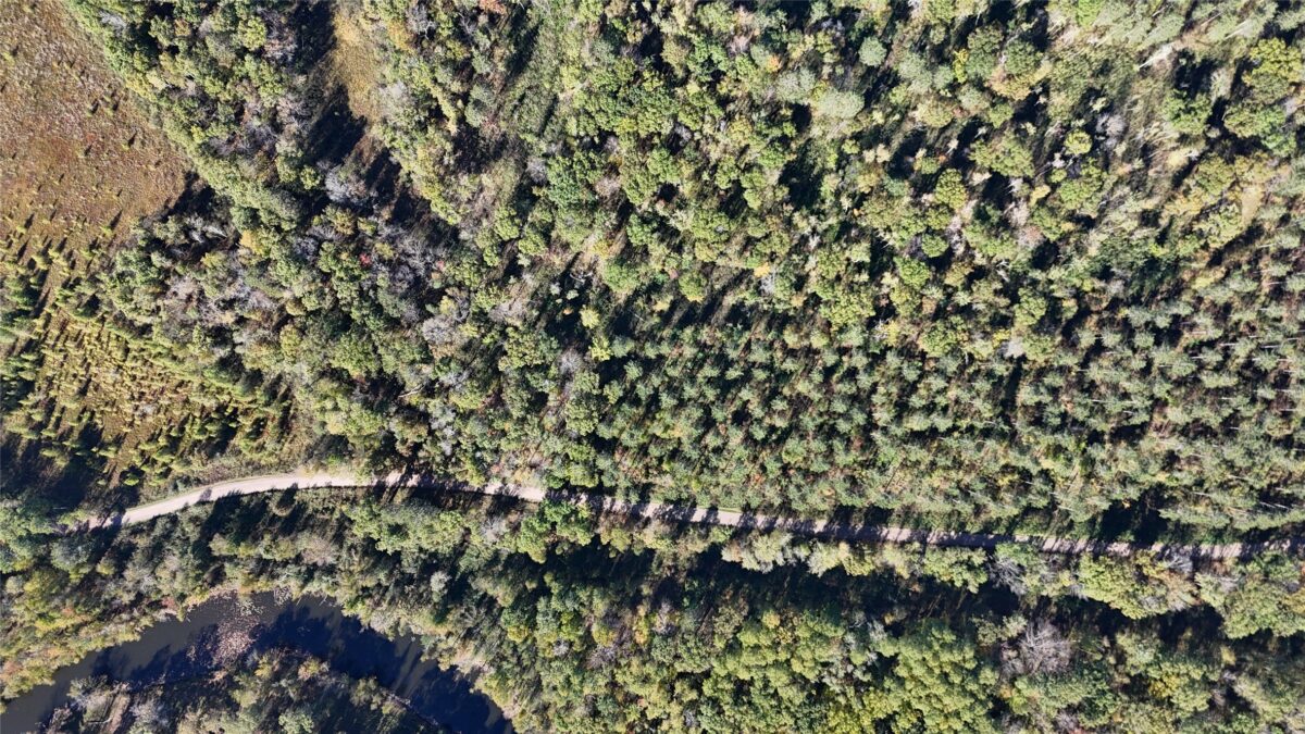 TBD BB Mann Road, Spooner WI 54801 - Land house for sale - MLS #1602853 - image6