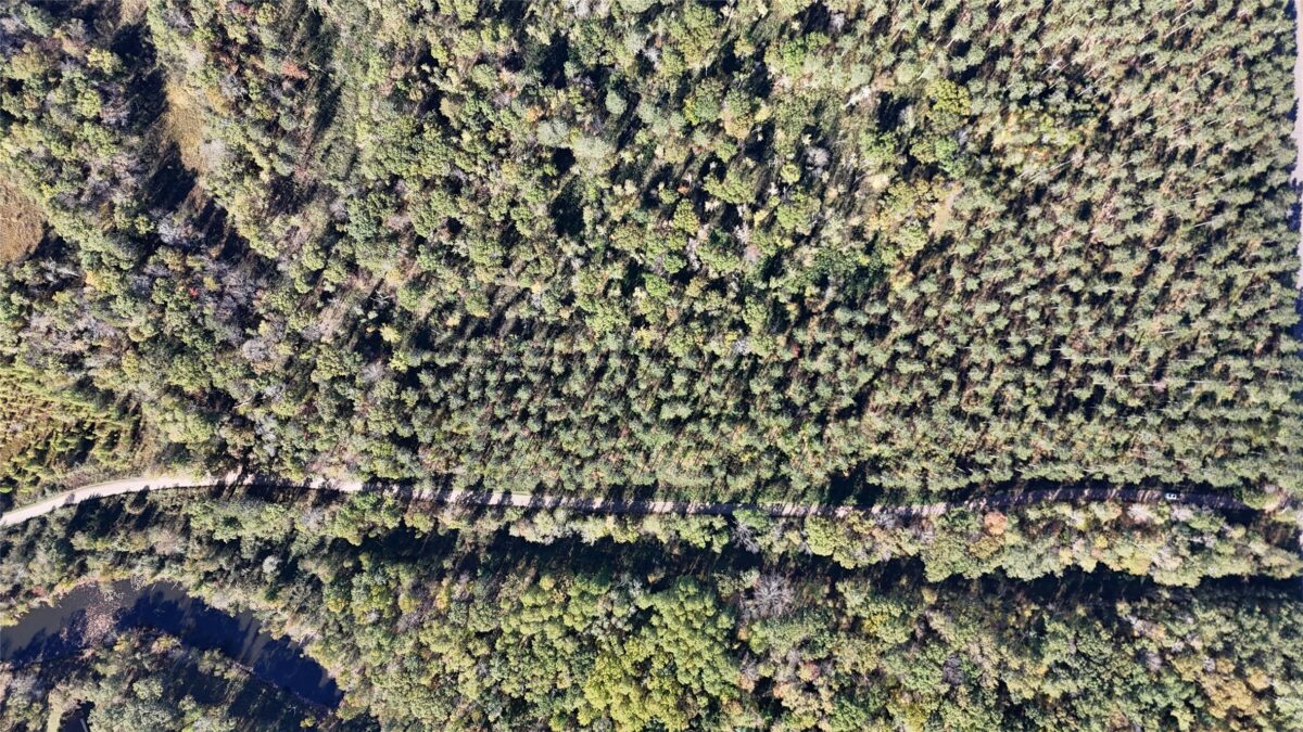 TBD BB Mann Road, Spooner WI 54801 - Land house for sale - MLS #1602853 - image8