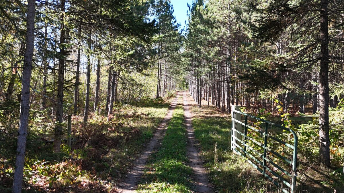 TBD BB Mann Road, Spooner WI 54801 - Land house for sale - MLS #1602853 - image9