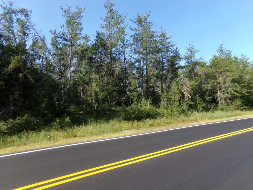 TBD Baldwin Avenue, Solon Springs WI 54873 - Land house for sale - MLS #1602901 - image2