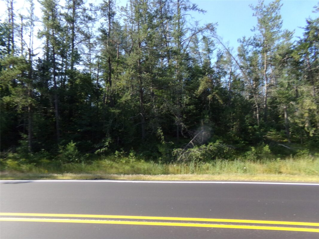 TBD Baldwin Avenue, Solon Springs WI 54873 - Land house for sale - MLS #1602901 - image3