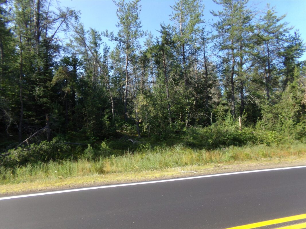 TBD Baldwin Avenue, Solon Springs WI 54873 - Land house for sale - MLS #1602901 - image6