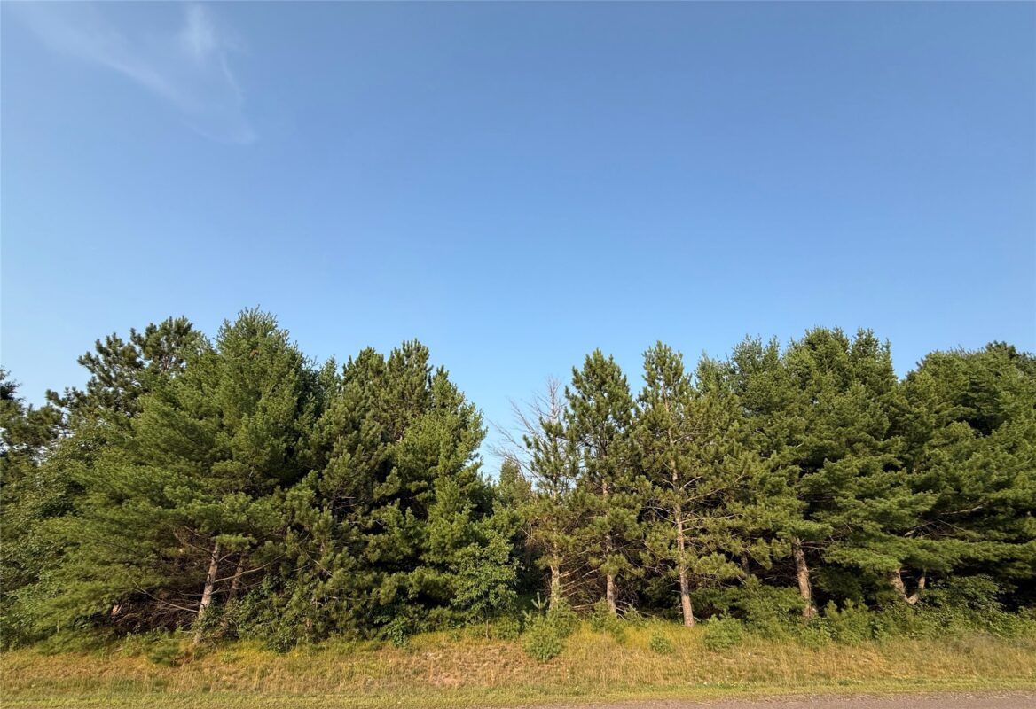 TBD County Highway F, Stone Lake WI 54876 - Land house for sale - MLS #1602624 - image3