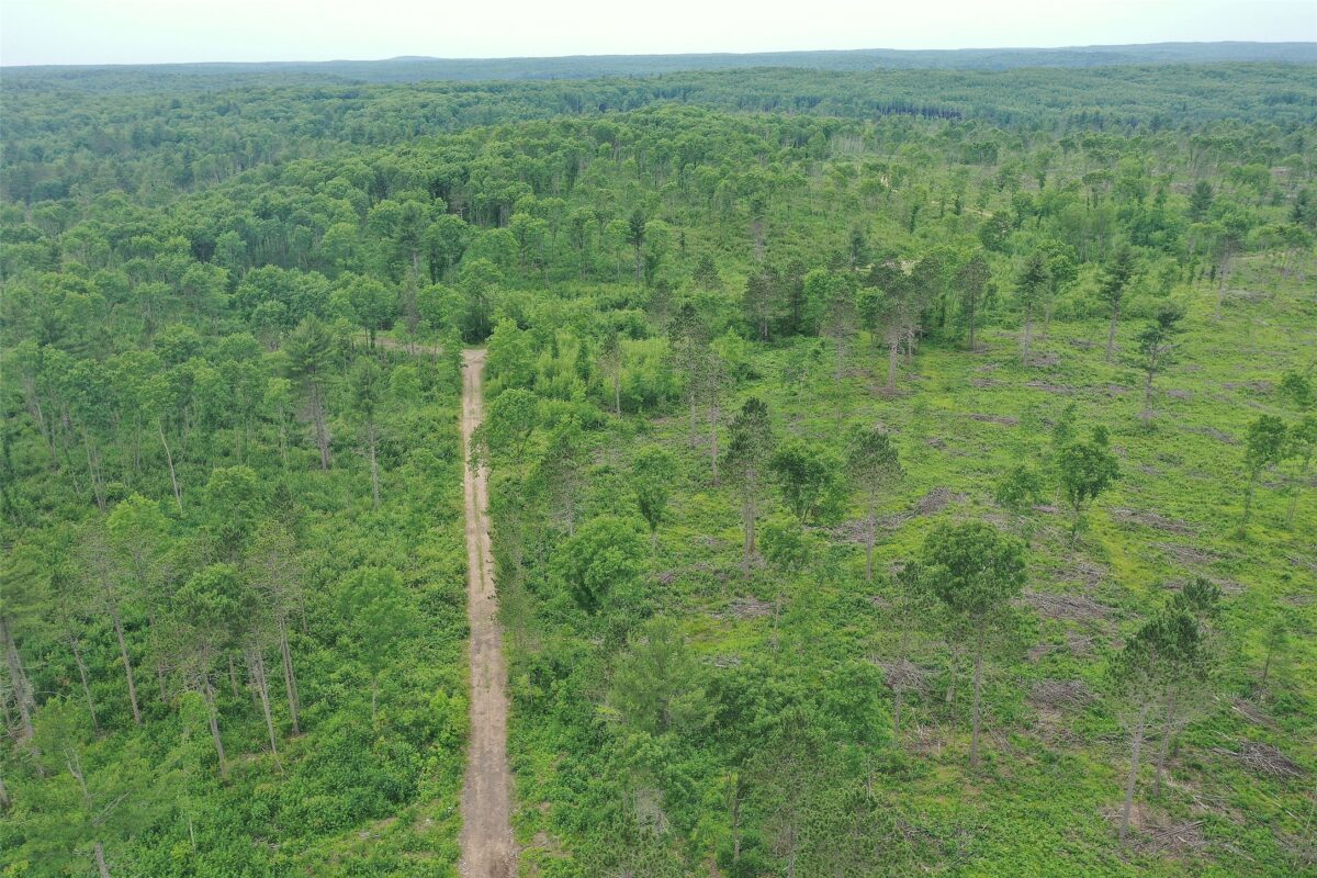 TBD Larsen Road, Hayward WI 54843 - Land house for sale - MLS #1597025 - image2