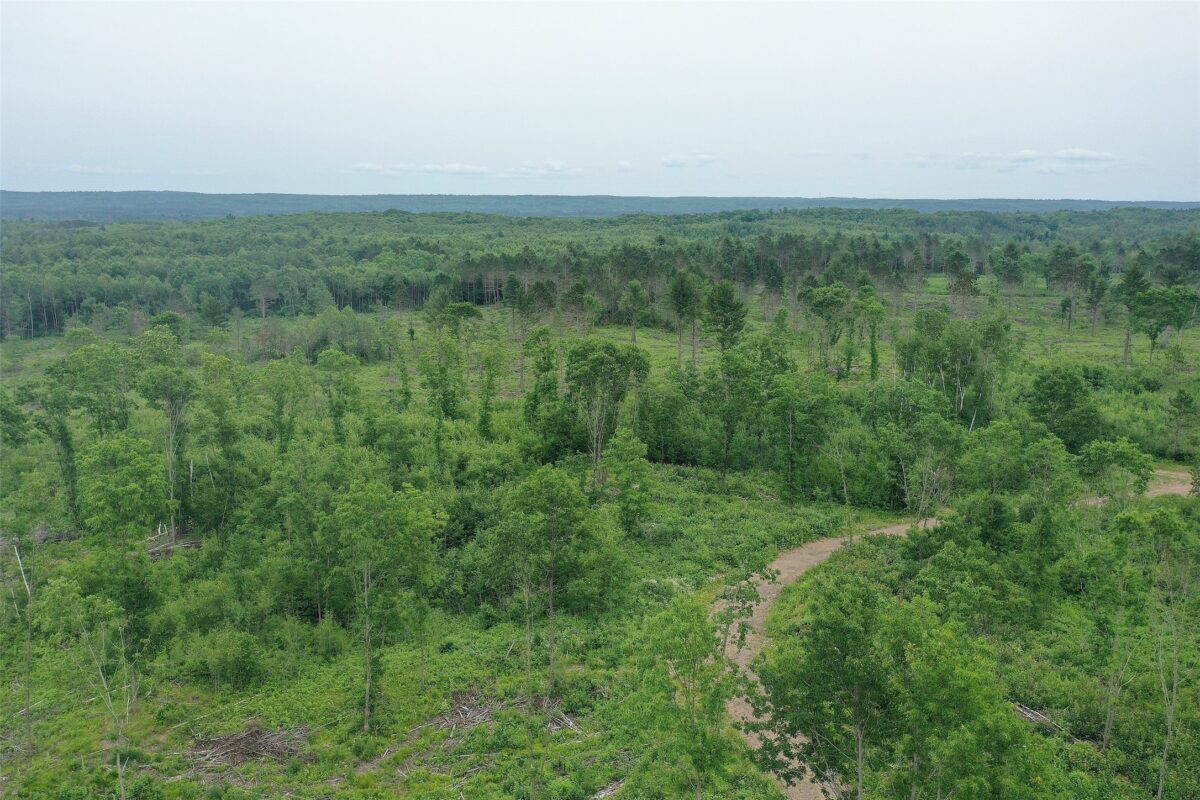 TBD Larsen Road, Hayward WI 54843 - Land house for sale - MLS #1597025 - image11