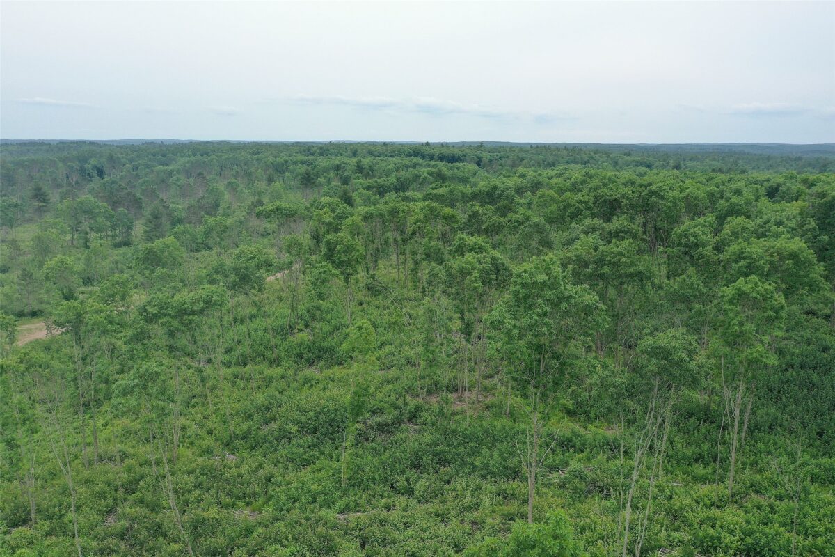 TBD Larsen Road, Hayward WI 54843 - Land house for sale - MLS #1597025 - image12