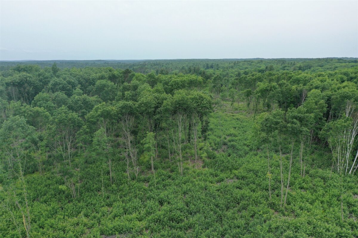 TBD Larsen Road, Hayward WI 54843 - Land house for sale - MLS #1597025 - image13