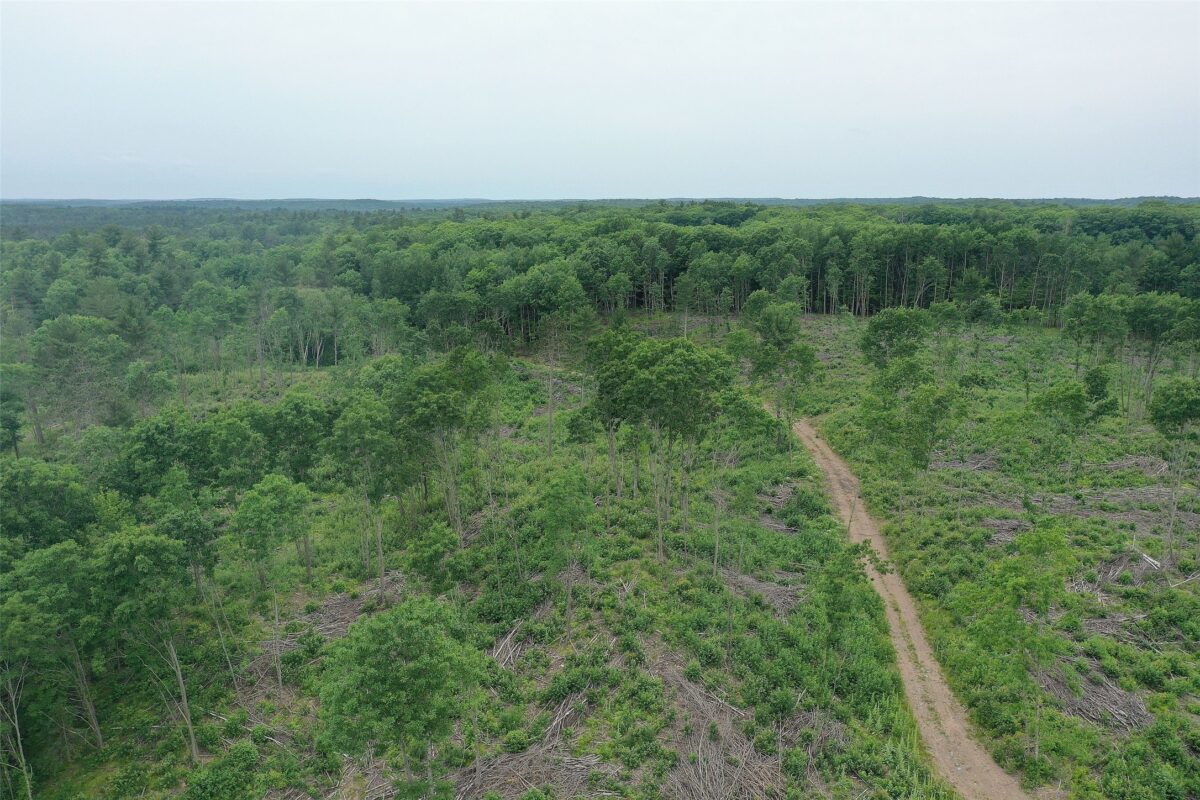 TBD Larsen Road, Hayward WI 54843 - Land house for sale - MLS #1597025 - image14