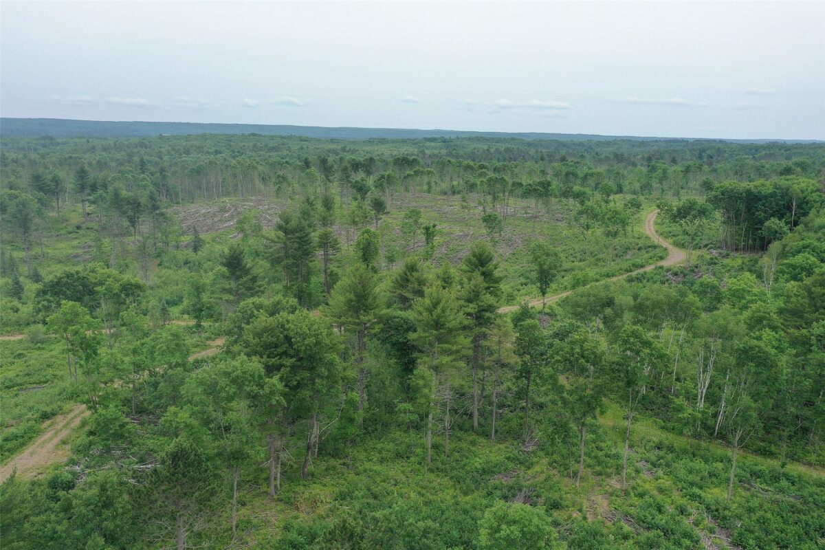TBD Larsen Road, Hayward WI 54843 - Land house for sale - MLS #1597025 - image15