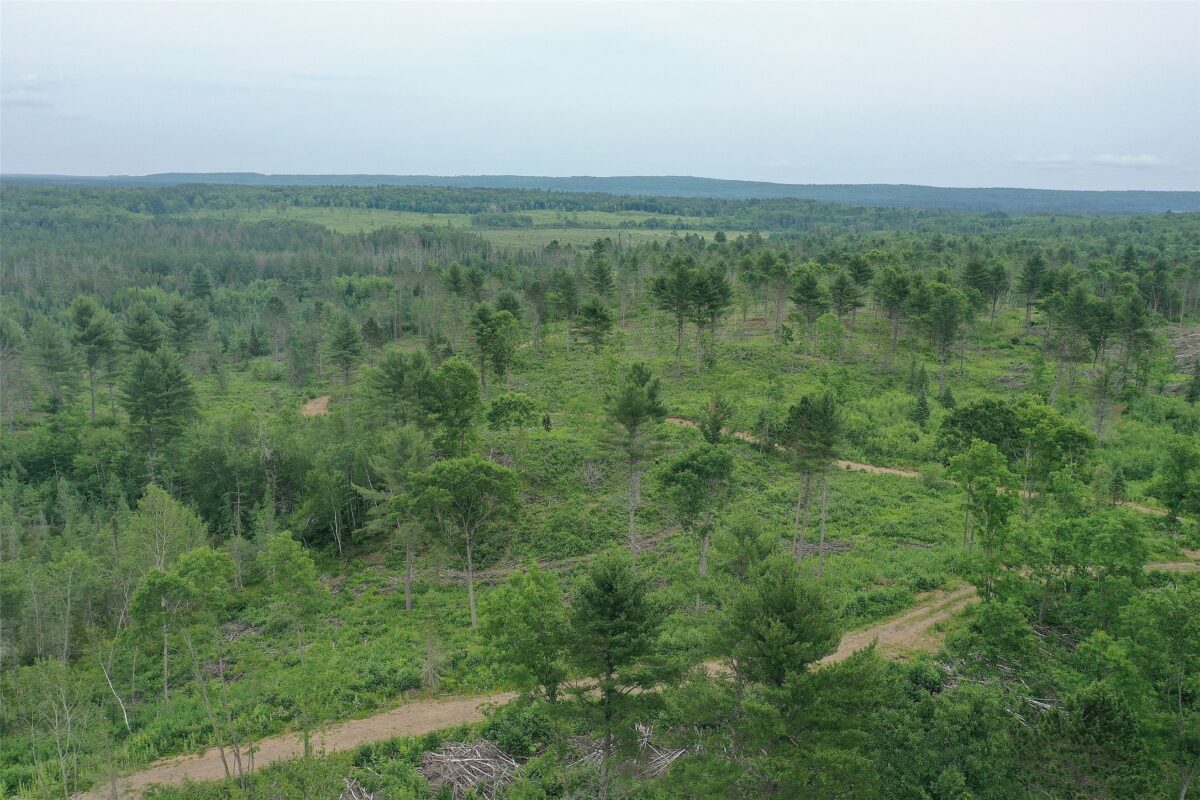 TBD Larsen Road, Hayward WI 54843 - Land house for sale - MLS #1597025 - image16