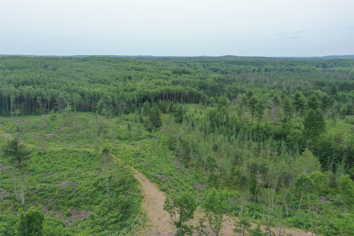 TBD Larsen Road, Hayward WI 54843 - Land house for sale - MLS #1597025 - image17