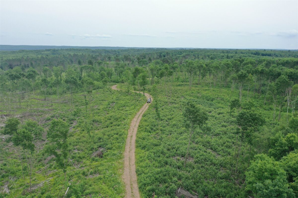 TBD Larsen Road, Hayward WI 54843 - Land house for sale - MLS #1597025 - image18