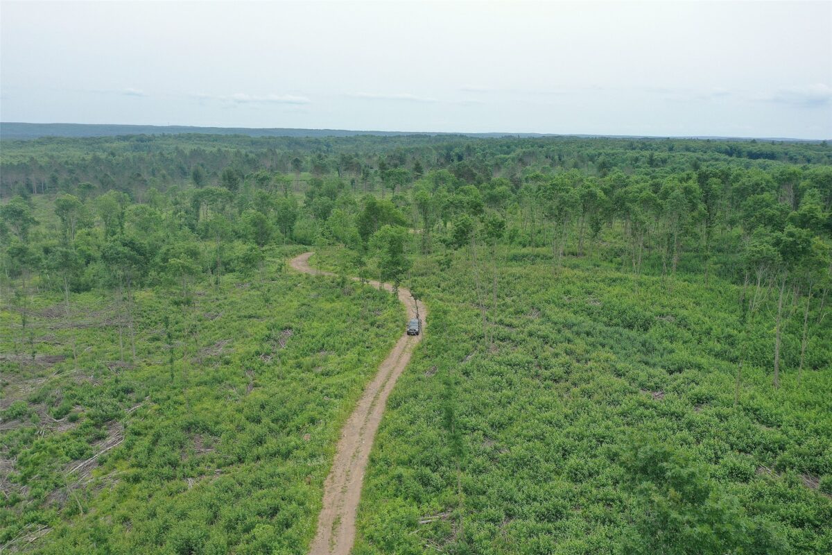 TBD Larsen Road, Hayward WI 54843 - Land house for sale - MLS #1597025 - image19
