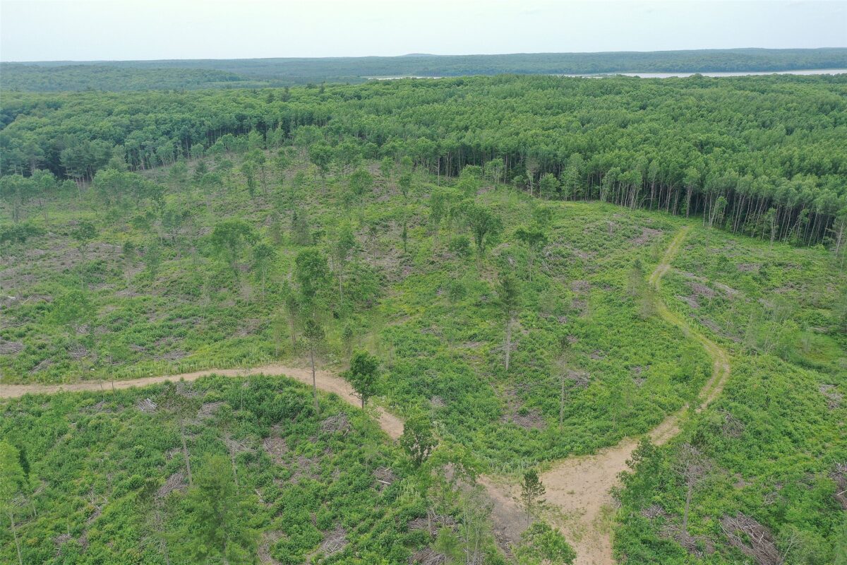 TBD Larsen Road, Hayward WI 54843 - Land house for sale - MLS #1597025 - image20