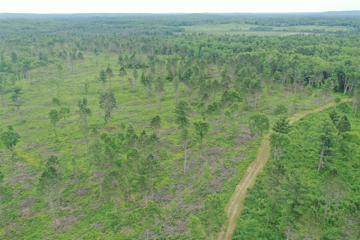 TBD Larsen Road, Hayward WI 54843 - Land house for sale - MLS #1597025 - image3