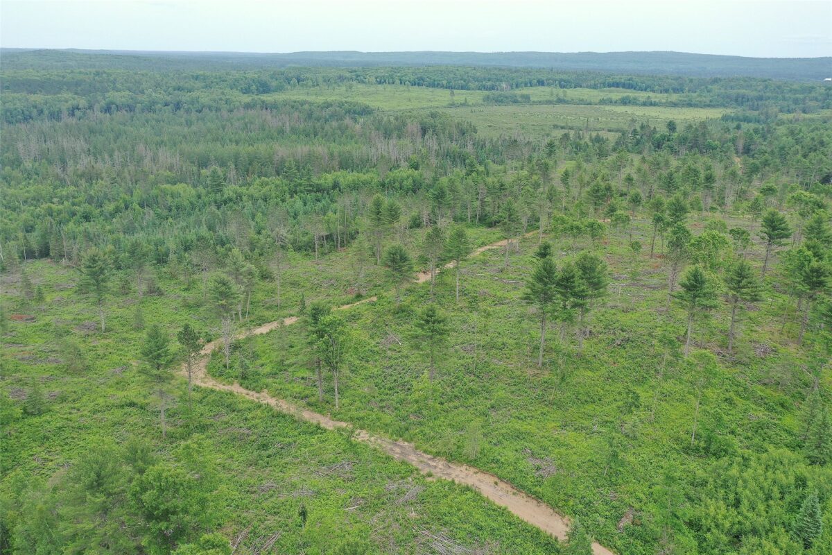 TBD Larsen Road, Hayward WI 54843 - Land house for sale - MLS #1597025 - image21