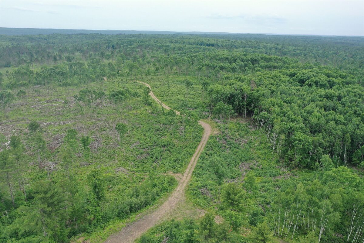 TBD Larsen Road, Hayward WI 54843 - Land house for sale - MLS #1597025 - image22