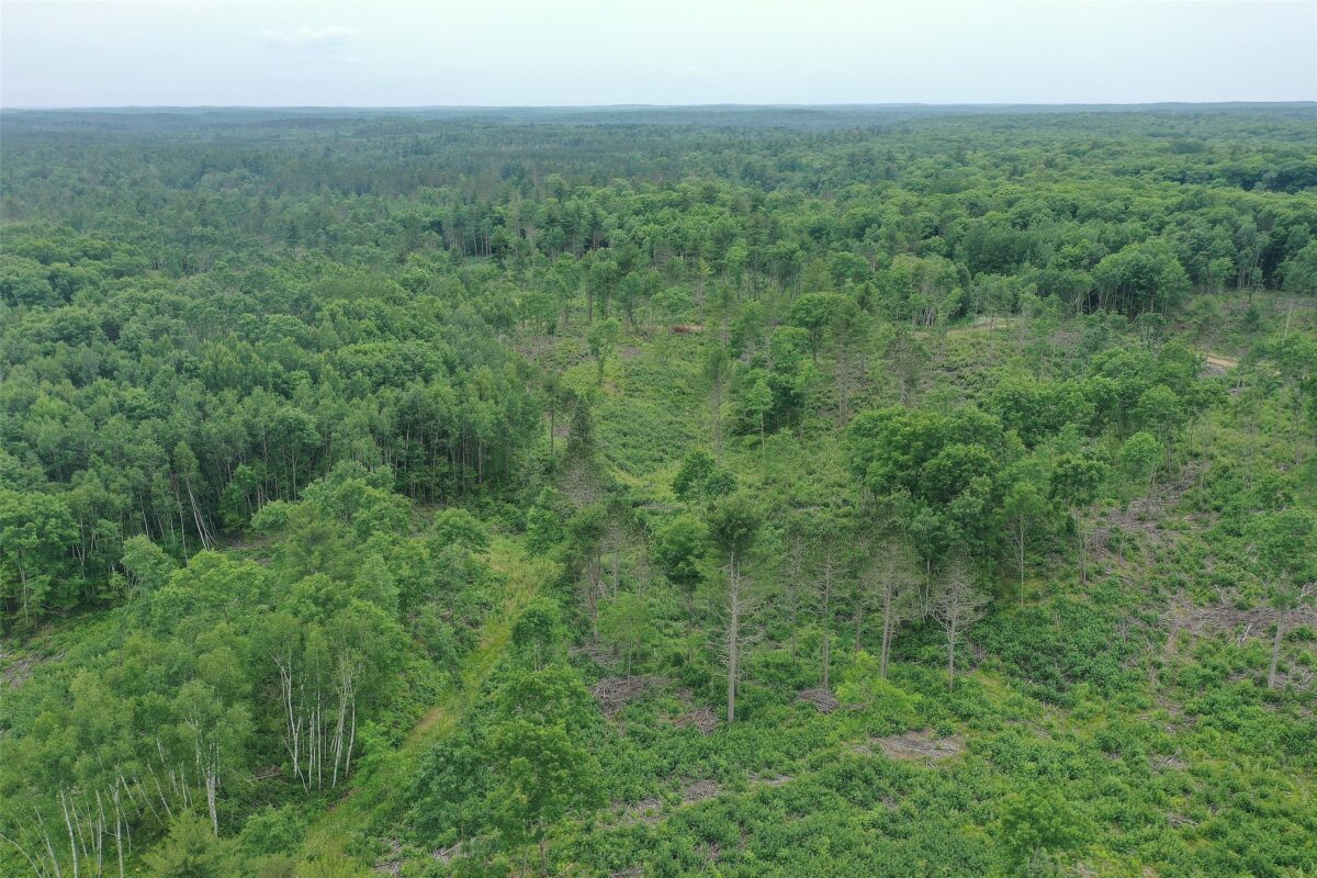 TBD Larsen Road, Hayward WI 54843 - Land house for sale - MLS #1597025 - image23