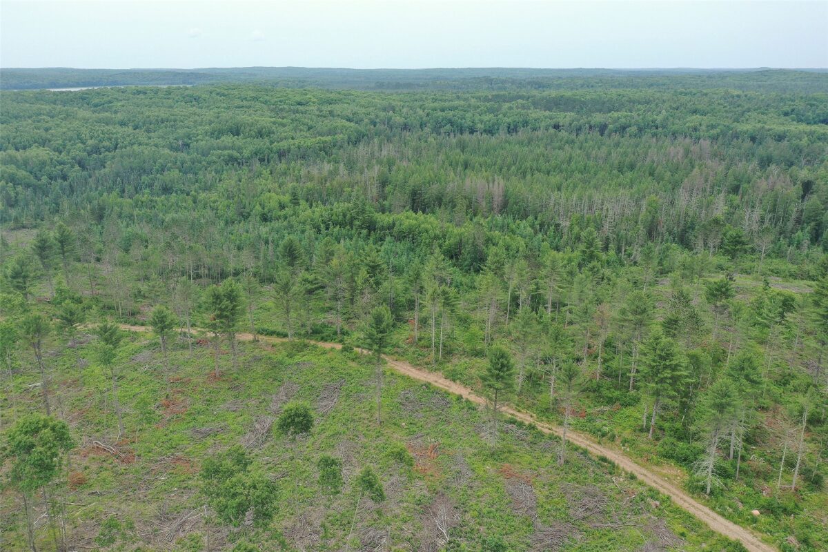 TBD Larsen Road, Hayward WI 54843 - Land house for sale - MLS #1597025 - image24