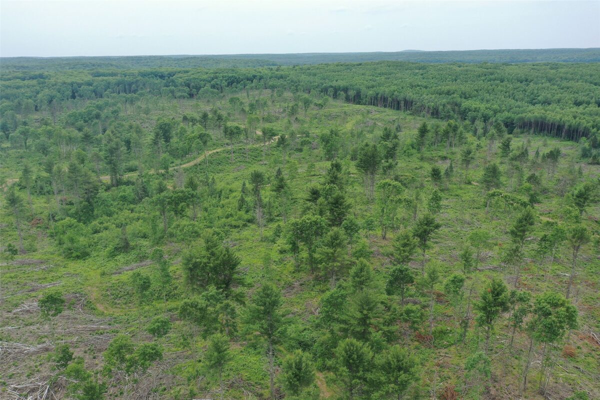 TBD Larsen Road, Hayward WI 54843 - Land house for sale - MLS #1597025 - image25