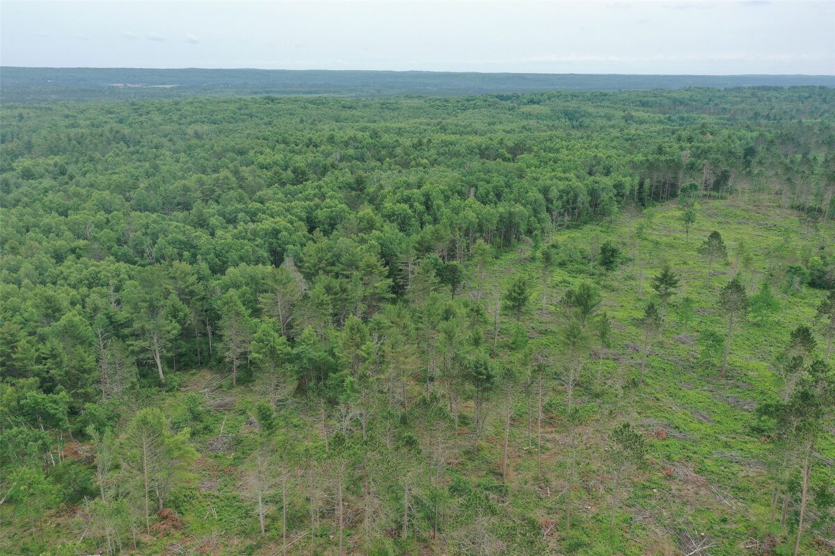 TBD Larsen Road, Hayward WI 54843 - Land house for sale - MLS #1597025 - image27