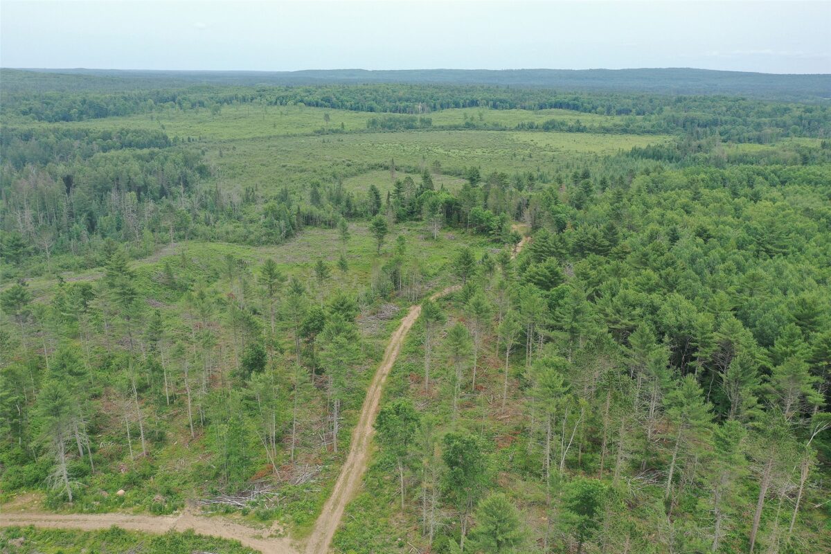 TBD Larsen Road, Hayward WI 54843 - Land house for sale - MLS #1597025 - image28