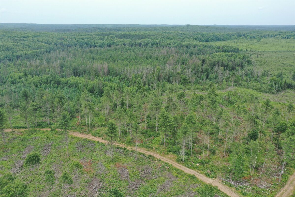 TBD Larsen Road, Hayward WI 54843 - Land house for sale - MLS #1597025 - image29