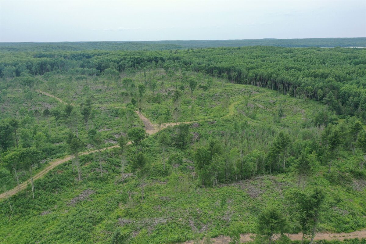 TBD Larsen Road, Hayward WI 54843 - Land house for sale - MLS #1597025 - image30