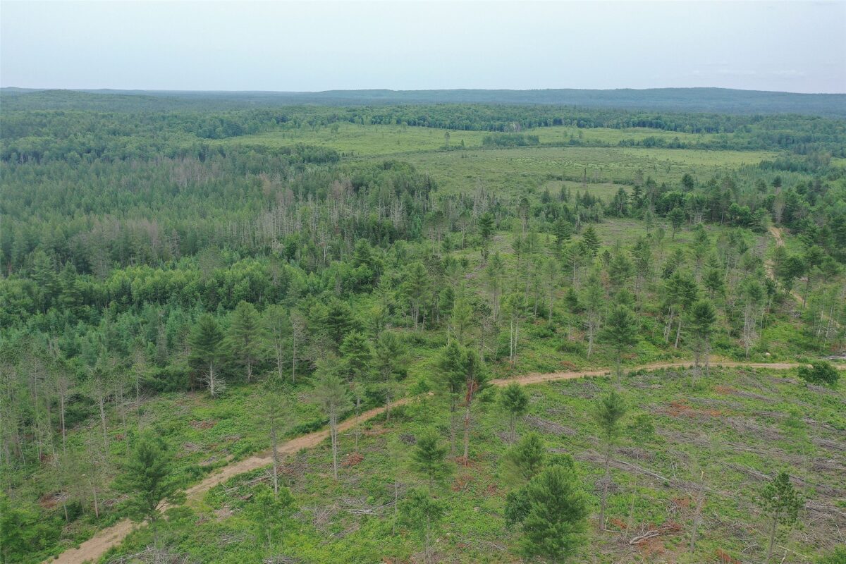 TBD Larsen Road, Hayward WI 54843 - Land house for sale - MLS #1597025 - image31