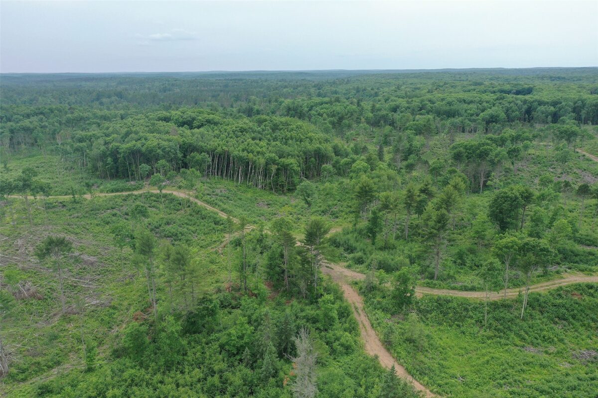 TBD Larsen Road, Hayward WI 54843 - Land house for sale - MLS #1597025 - image32