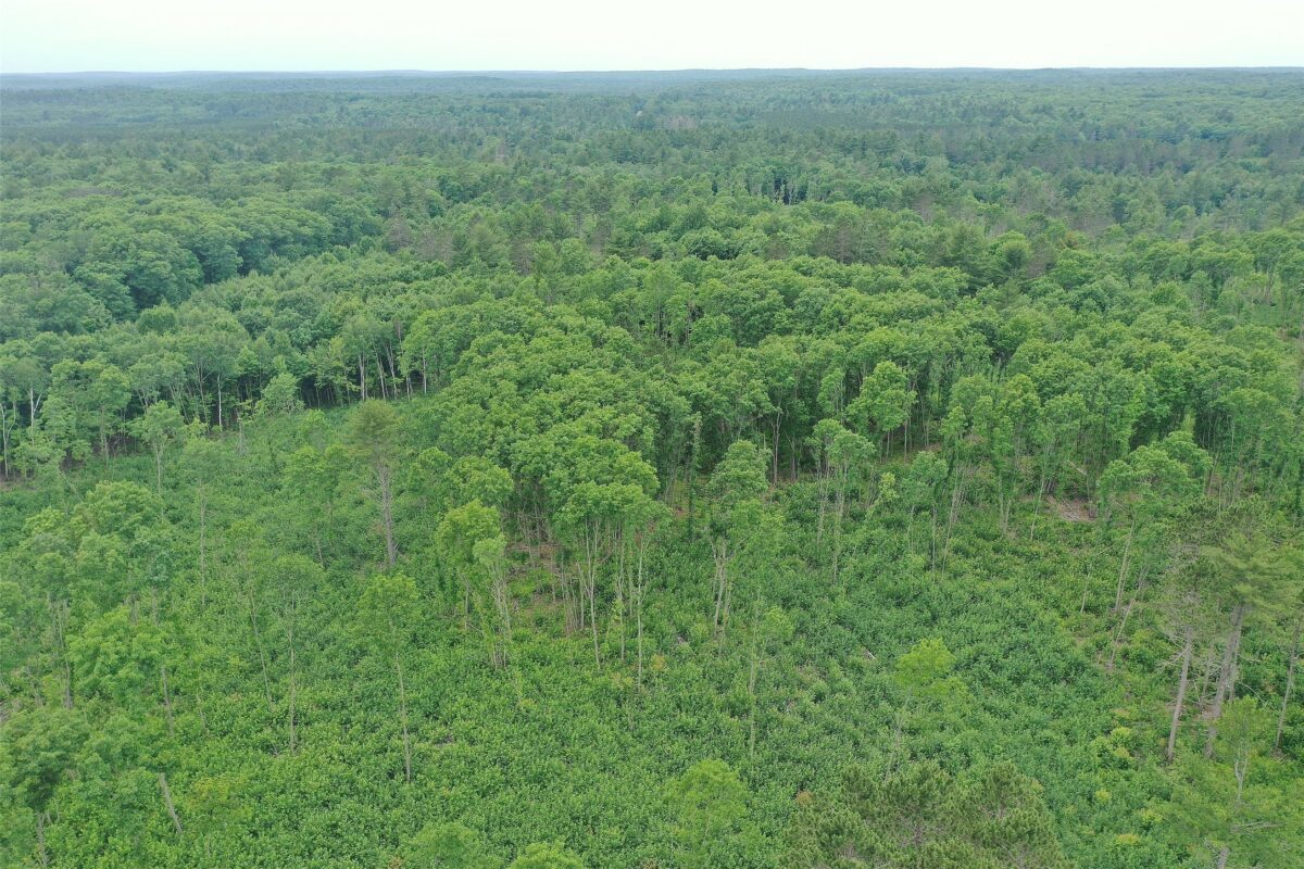 TBD Larsen Road, Hayward WI 54843 - Land house for sale - MLS #1597025 - image5