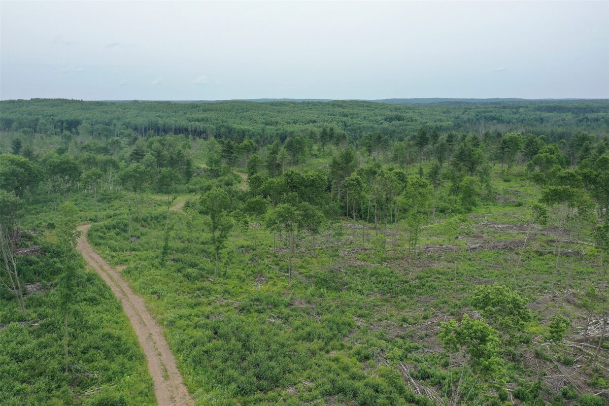 TBD Larsen Road, Hayward WI 54843 - Land house for sale - MLS #1597025 - image9