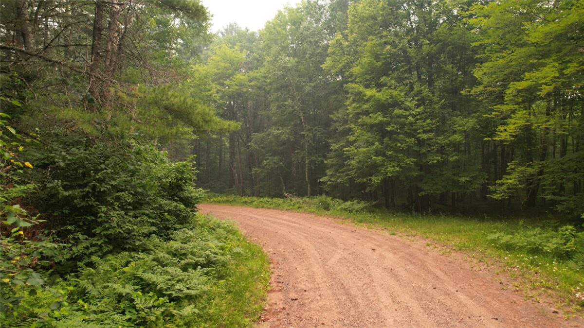 TBD Loop Road, Drummond WI 54832 - Land house for sale - MLS #1603326 - image2
