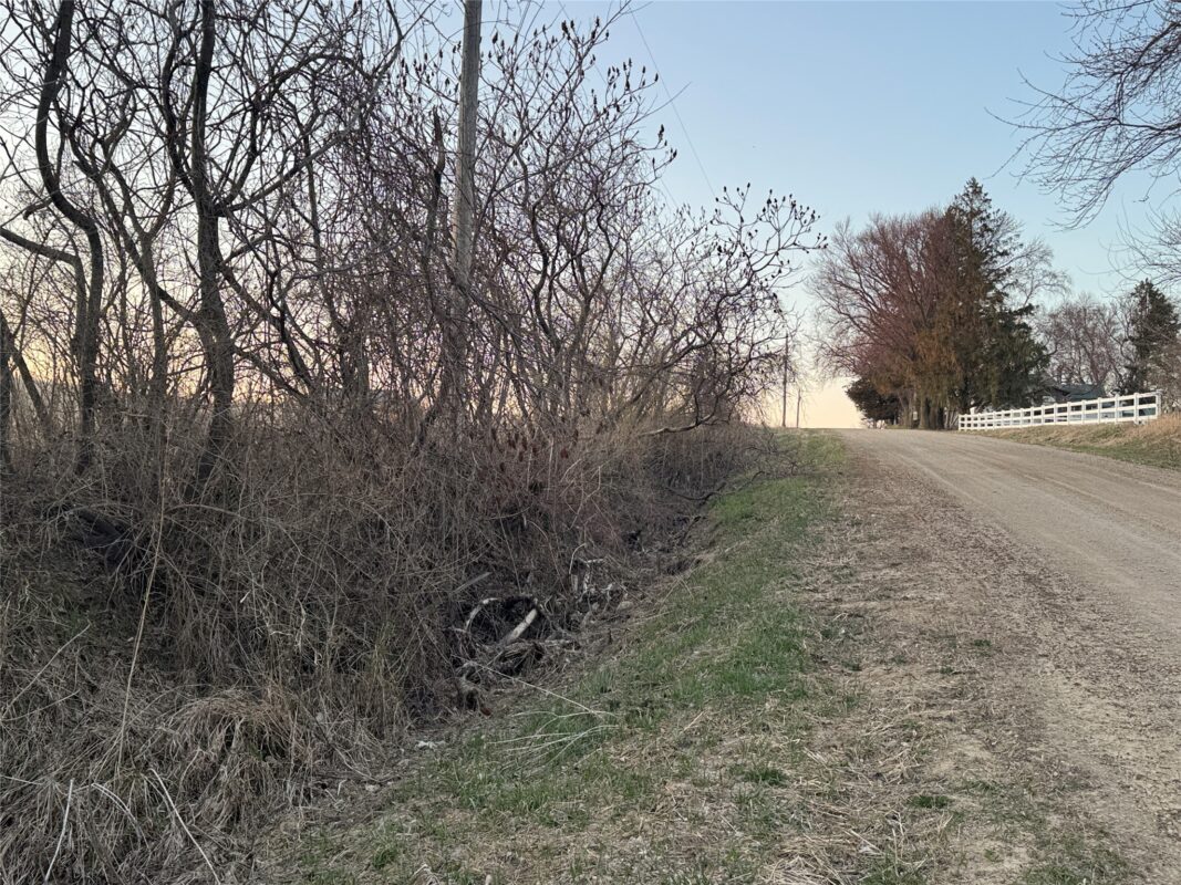 TBD Riesgraf Lane, Stockholm WI 54769 - Land house for sale - MLS #1599976 - image13