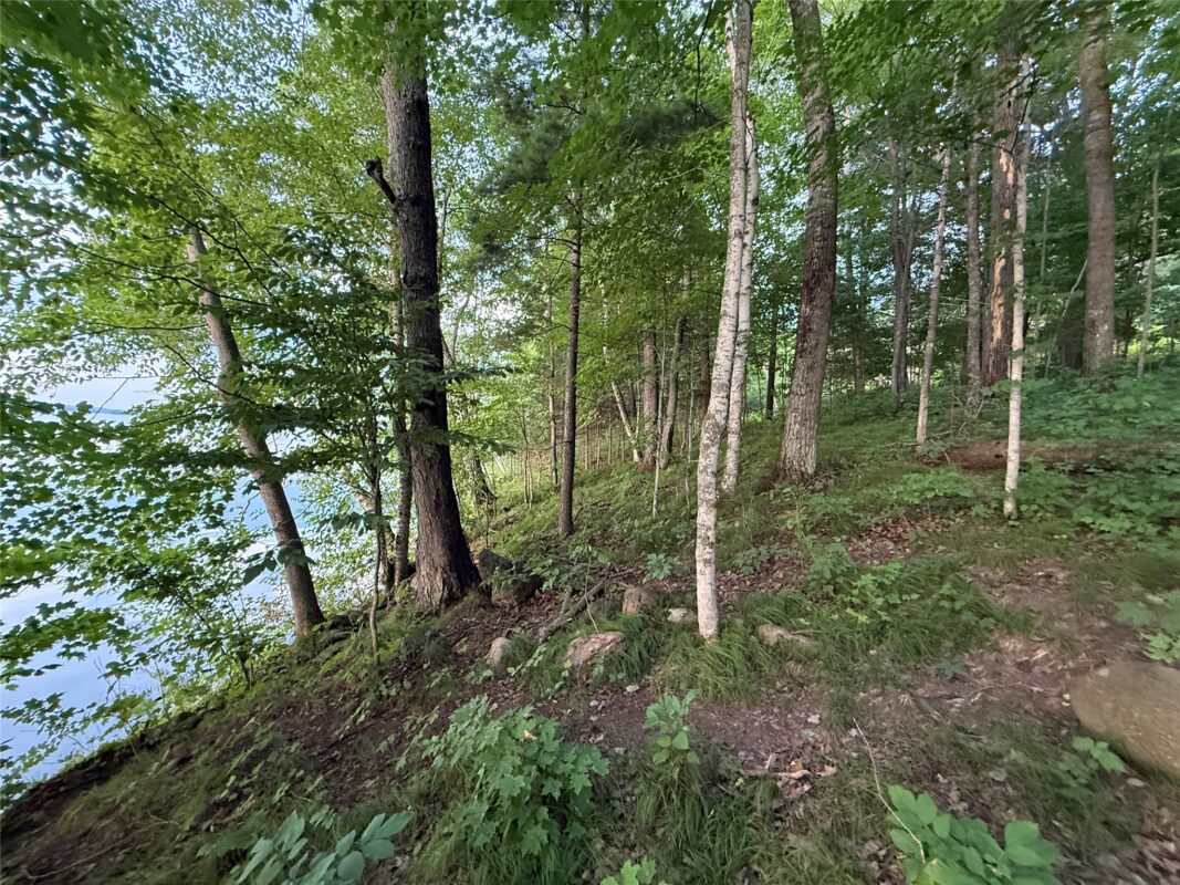 TBD Timber Trails Lane, Birchwood WI 54817 - Land house for sale - MLS #1602542 - image2