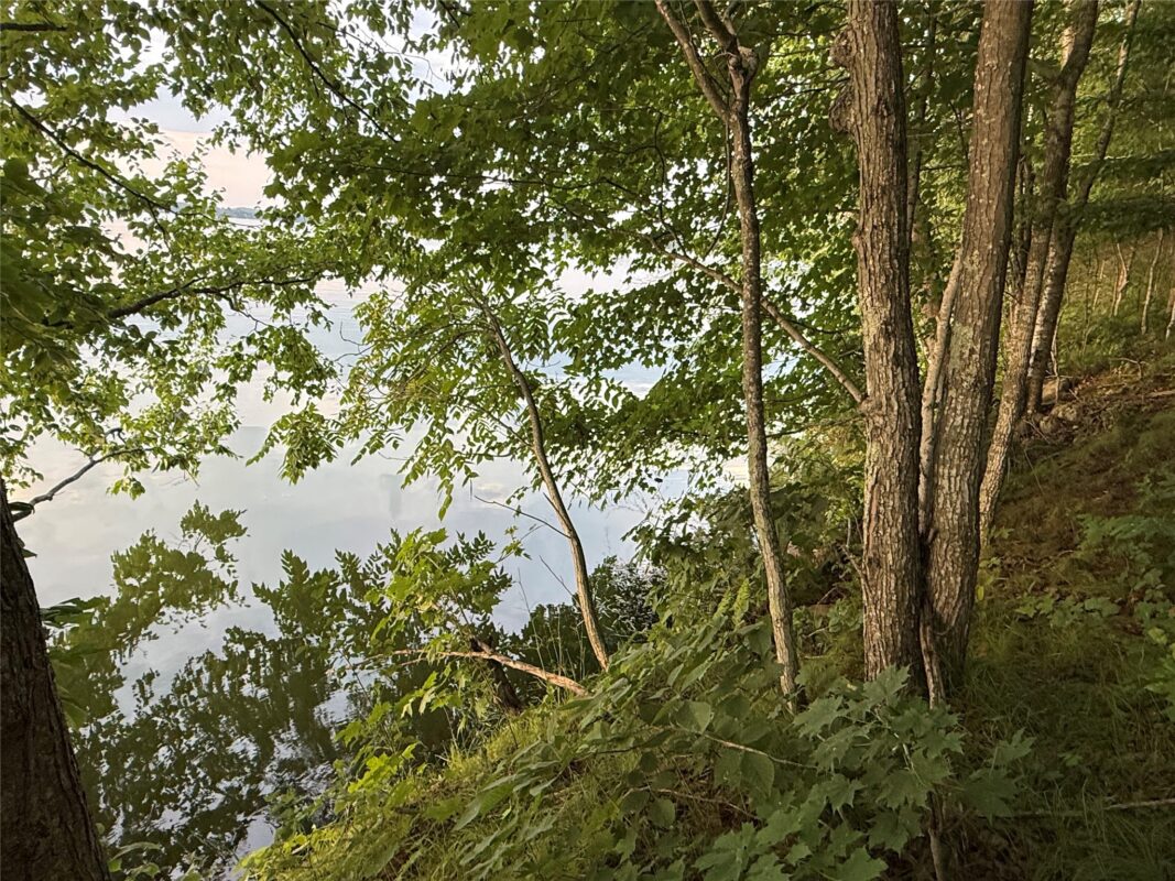 TBD Timber Trails Lane, Birchwood WI 54817 - Land house for sale - MLS #1602542 - image3