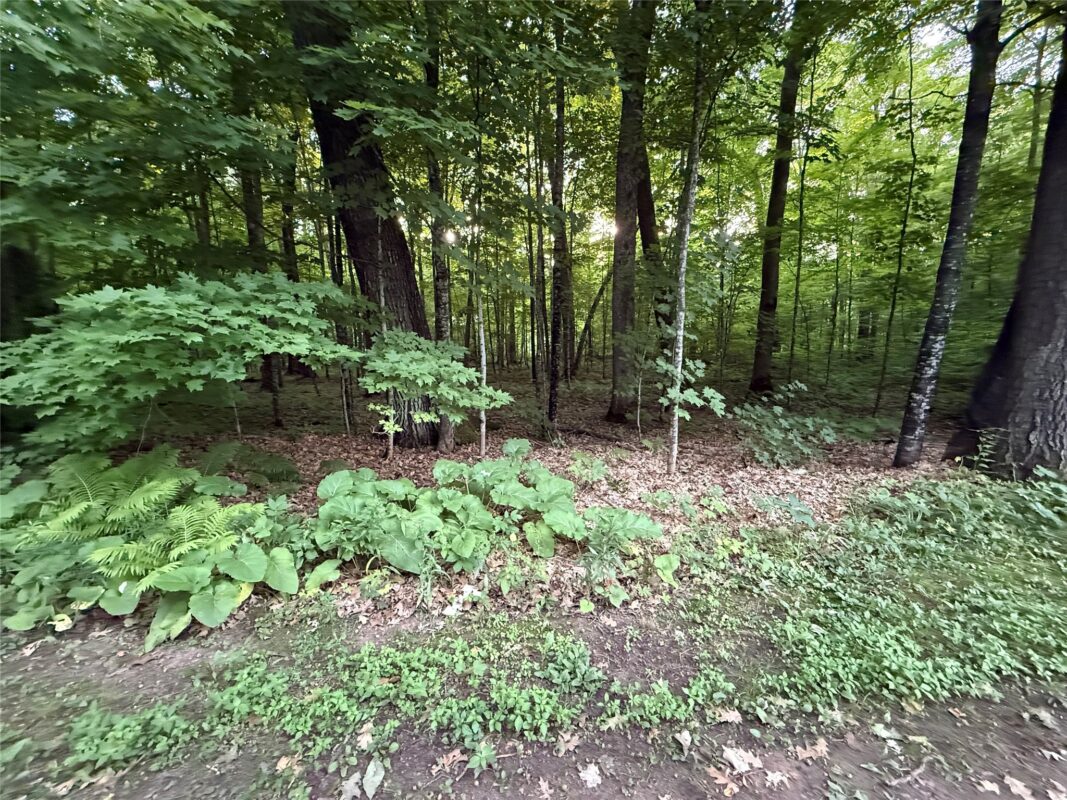 TBD Timber Trails Lane, Birchwood WI 54817 - Land house for sale - MLS #1602542 - image4