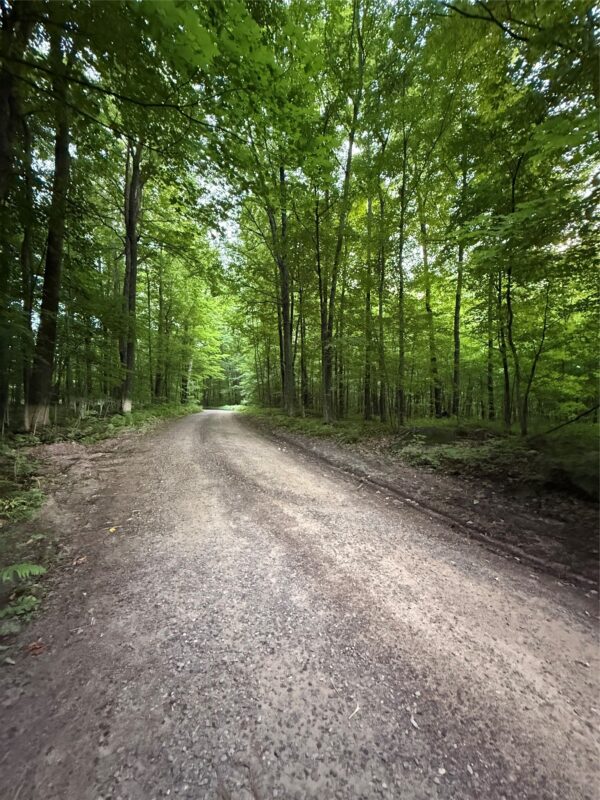 TBD Timber Trails Lane, Birchwood WI 54817 - Land house for sale - MLS #1602542 - image5